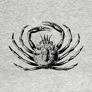 Holy crab! T-Shirt